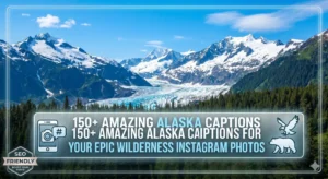 150+ Amazing Alaska Captions for Your Epic Wilderness Instagram Photos
