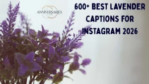 150+ Beautiful Lavender Captions to Enhance Your Instagram Feed