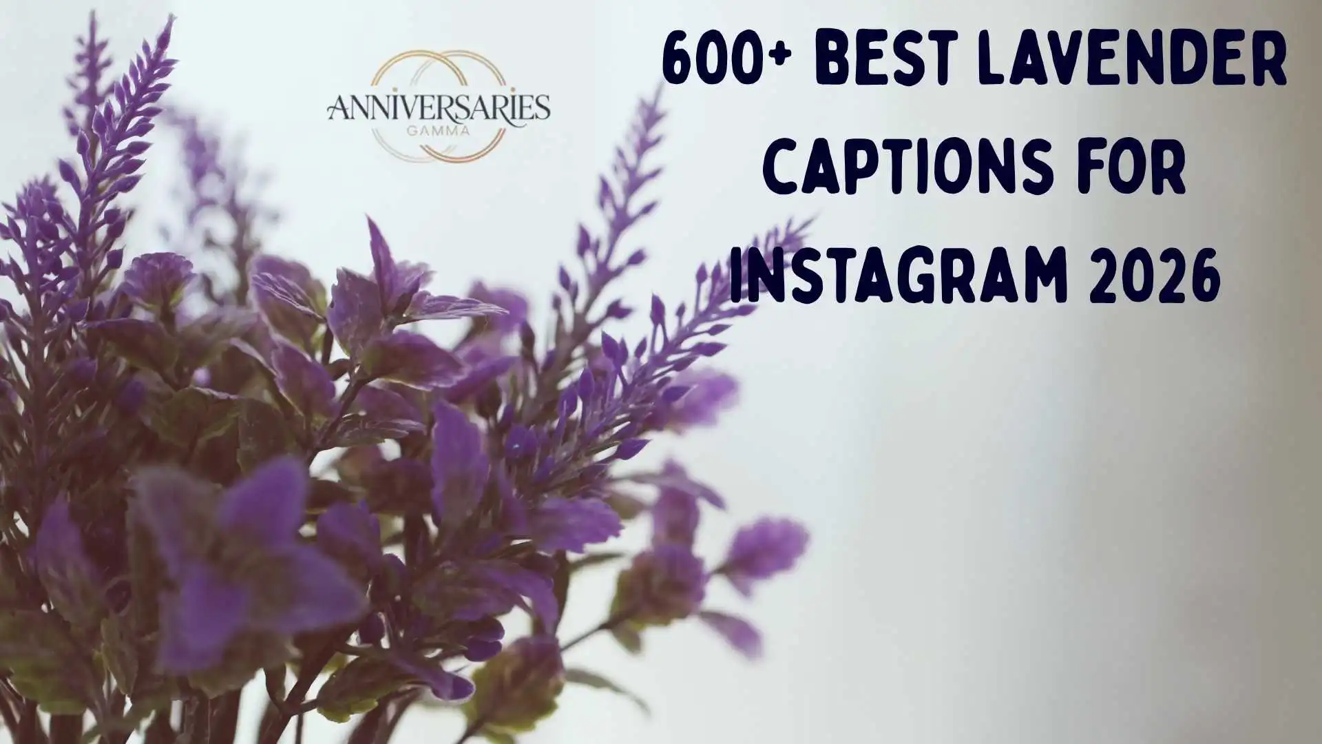 150+ Beautiful Lavender Captions to Enhance Your Instagram Feed