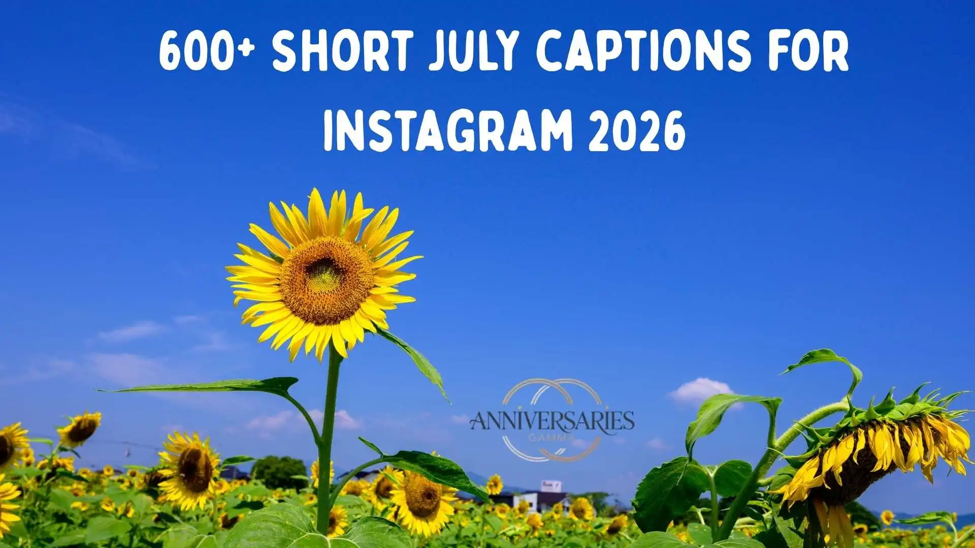 255+ Best Short July Captions To Post on Instagram