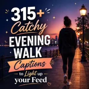 Evening Walk Captions