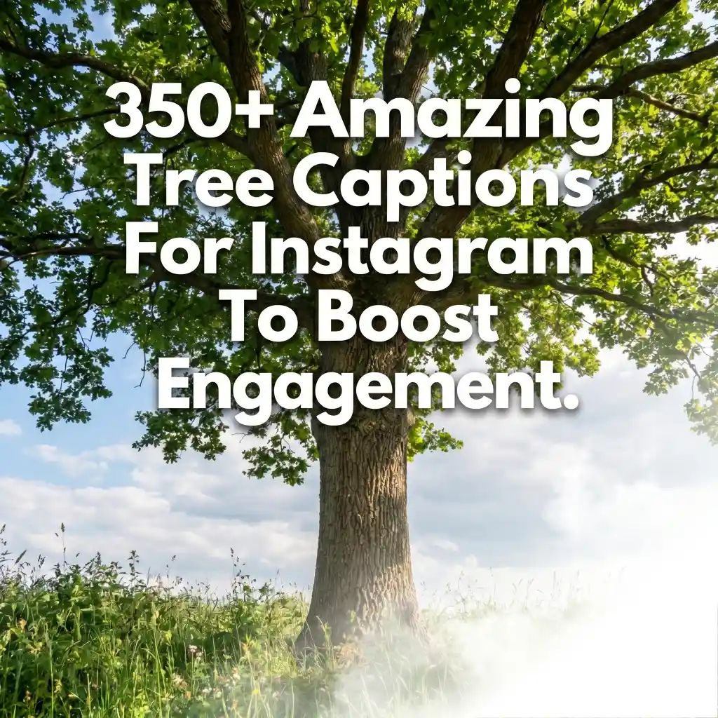 Amazing Tree Captions For Instagram